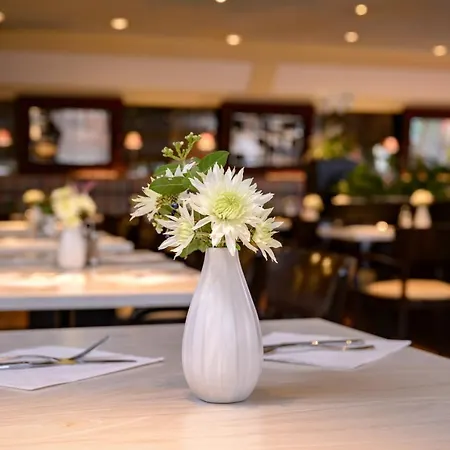 호텔 파르크 벨레-뷰 3*